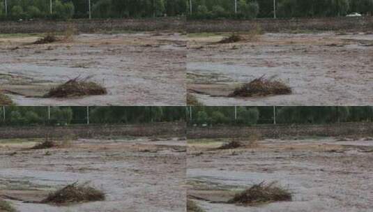 实拍暴雨后洪水 山洪  泥石流高清在线视频素材下载