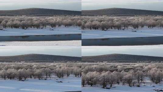 竖屏航拍大兴安岭雪原湿地雾凇241102 (3)高清在线视频素材下载