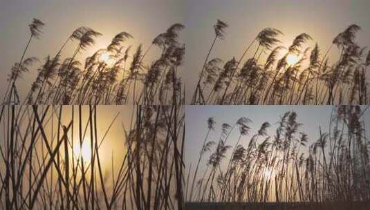 夕阳 晚霞 天空 治愈系 黄昏 唯美高清在线视频素材下载