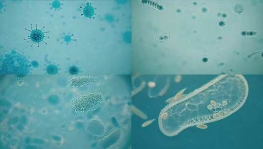 病毒细胞的微观结构展示高清在线视频素材下载