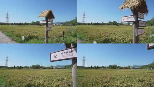 浙江金华浦江上山文化遗址公园高清在线视频素材下载