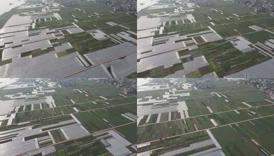 万亩蔬菜基地广阔的高清在线视频素材下载