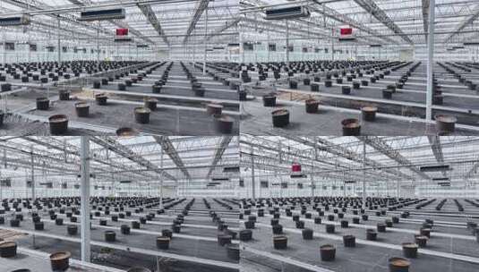 现代农业温室育苗车间高清在线视频素材下载