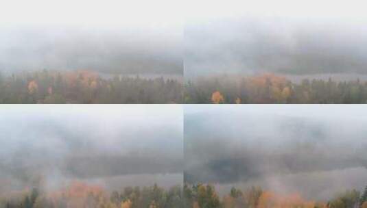 航拍雾气朦胧的森林高清在线视频素材下载