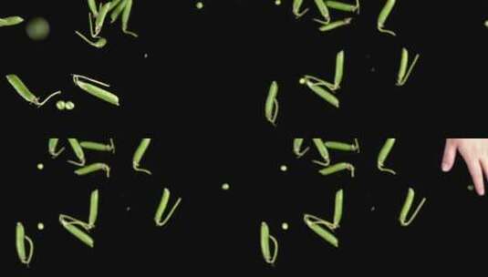 原创 豌豆爆炸 升格镜头高清在线视频素材下载