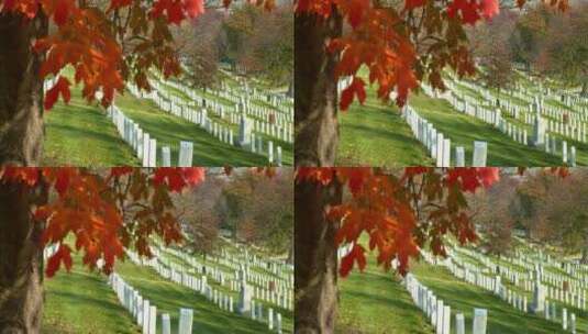 华盛顿特区阿灵顿国家公墓墓地高清在线视频素材下载