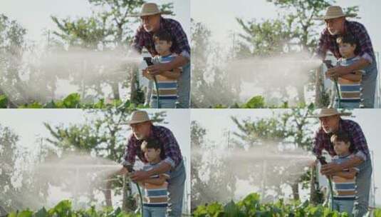 孙子和祖父一起为种植园浇水高清在线视频素材下载