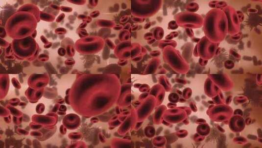 病毒 细胞 细菌 新冠 红细胞高清在线视频素材下载