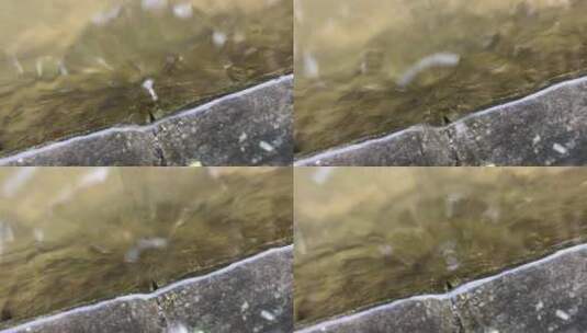 水珠滴落升格拍摄高清在线视频素材下载