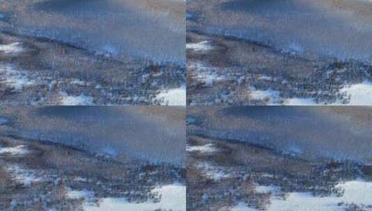 航拍额尔古纳林区早春雪原白桦林高清在线视频素材下载