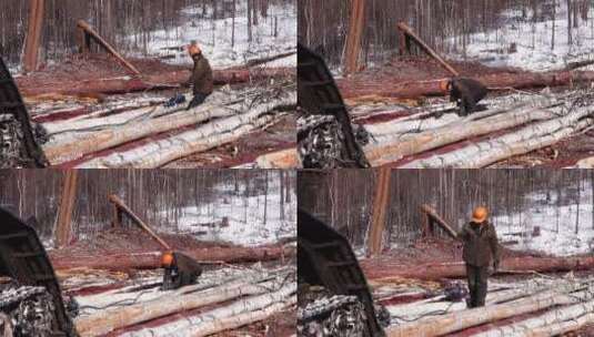 已消失的场景：大兴安岭山场工人在归整木材高清在线视频素材下载