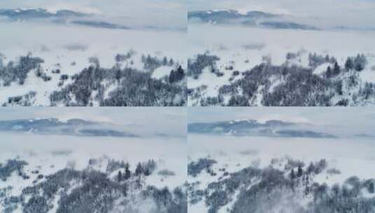 山区冬季森林中的冰冻景观高清在线视频素材下载