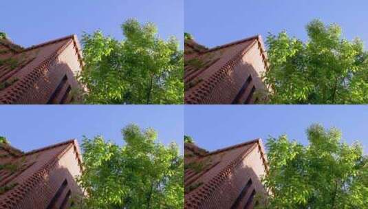 红砖建筑树叶天空园林高清在线视频素材下载