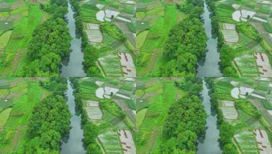 广西桂林乡村小河航拍高清在线视频素材下载