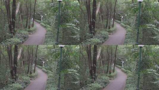 公园系列-广州花果山公园25高清在线视频素材下载