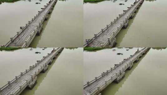 【正版素材】泉州洛阳桥高清在线视频素材下载