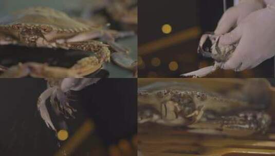 新鲜螃蟹 飞蟹海蟹 清蒸梭子蟹螃蟹高清在线视频素材下载