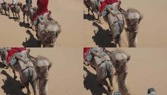 骑行骆驼带驼铃声高清在线视频素材下载