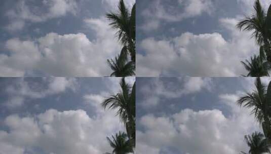 棕榈树上空的云景高清在线视频素材下载