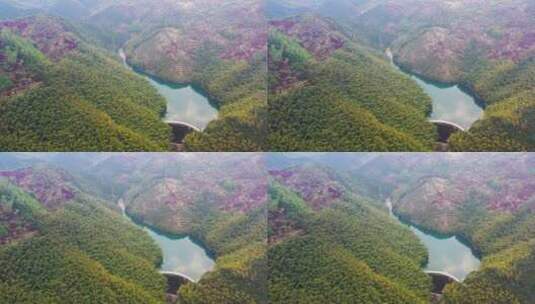 宁波四明山国家森林公园下坑水库航拍高清在线视频素材下载