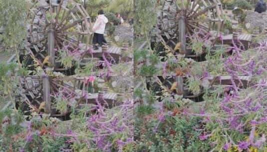 景观水车和鲜花高清在线视频素材下载