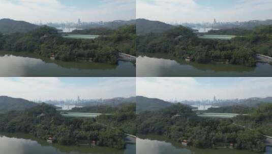 深圳仙湖植物园，东湖水库高清在线视频素材下载