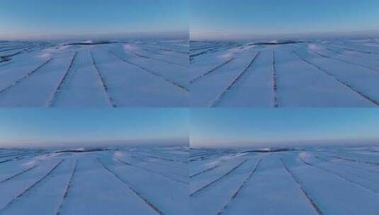 航拍冬天的呼伦贝尔雪原雪景高清在线视频素材下载