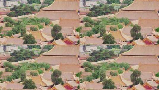 景山上俯拍故宫系列之屋顶高清在线视频素材下载