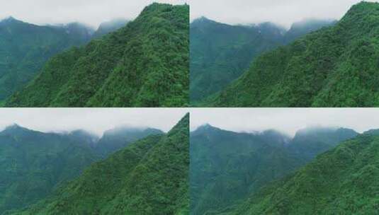 航拍峨眉山后山风景夏天青山美丽高清在线视频素材下载