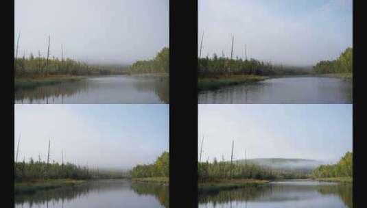晨雾中的原始森林4KRAW延时视频高清在线视频素材下载
