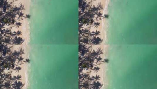 热带海滩椰子棕榈树和绿松石高清在线视频素材下载