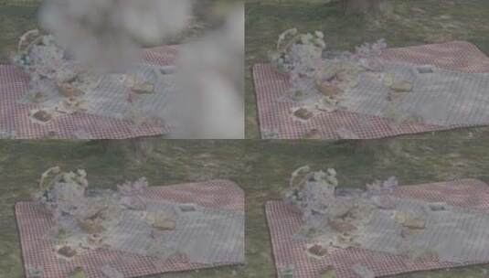 樱花树下的野餐高清在线视频素材下载