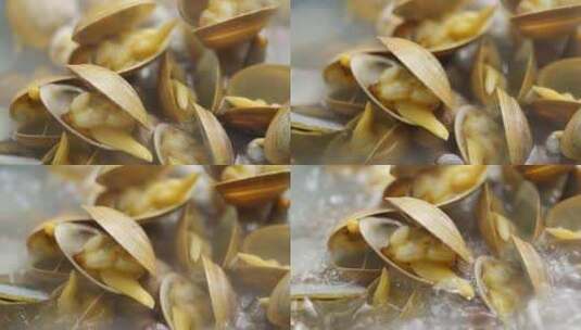 花蛤 花甲 海鲜 美食 蛤蜊 花蛤 海货高清在线视频素材下载