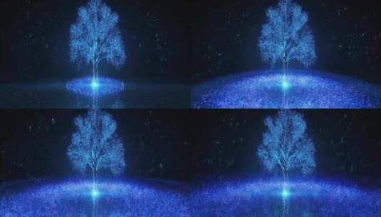 舞台蓝色树背景 4高清在线视频素材下载