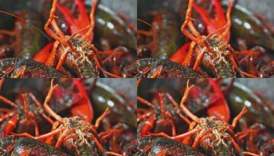 一盘活的小龙虾爬动海鲜生鲜虾特写高清在线视频素材下载