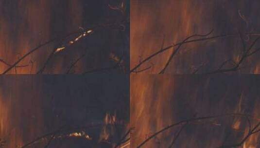 森林山火 森林火灾高清在线视频素材下载
