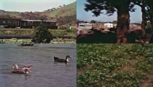 1978年 香港与深圳边界 广九铁路 东深工程高清在线视频素材下载
