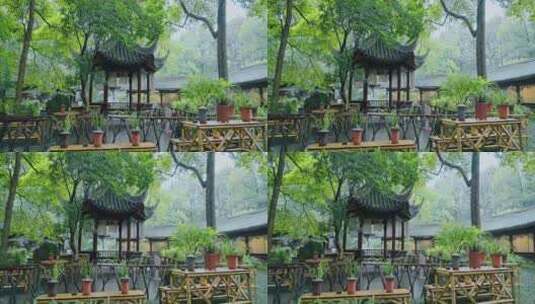 成都街景杜甫草堂雨天绿色树叶高清在线视频素材下载