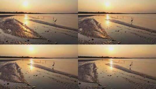 黄河生态湿地保护环境高清在线视频素材下载