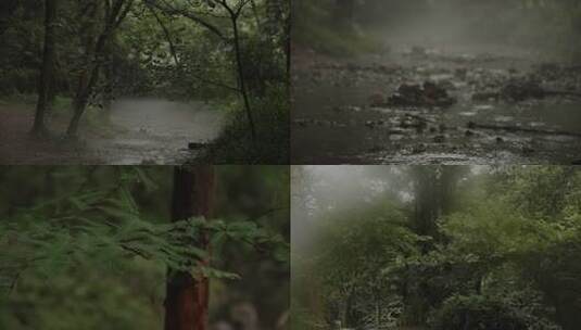 刚下过雨的小溪森林高清在线视频素材下载