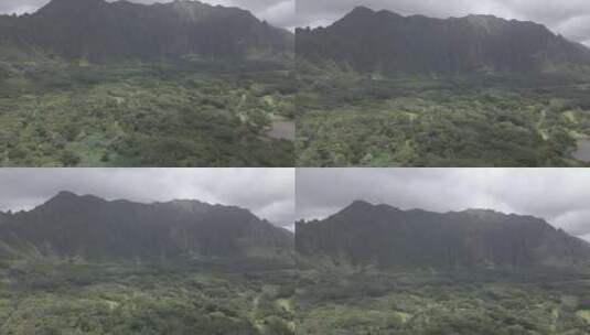 夏威夷热带雨林和山脉的无人机镜头高清在线视频素材下载