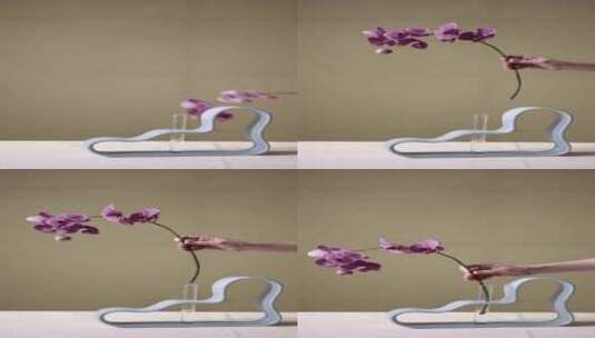 把一束紫罗兰插在花架上高清在线视频素材下载
