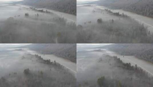航拍被浓雾包裹的森林高清在线视频素材下载