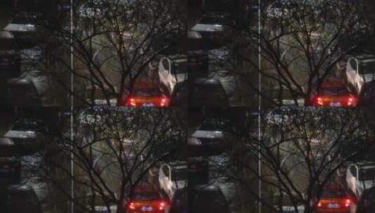 深秋初春雨夹雪天气老旧社区停车难高清在线视频素材下载