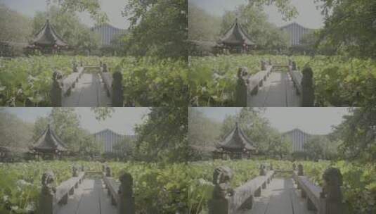 上海古建醉白池空镜实拍高清在线视频素材下载