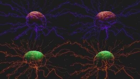 医学 大脑 脑科学 三维 脑ct1 模型高清在线视频素材下载