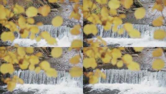 秋叶溪流小河高清在线视频素材下载