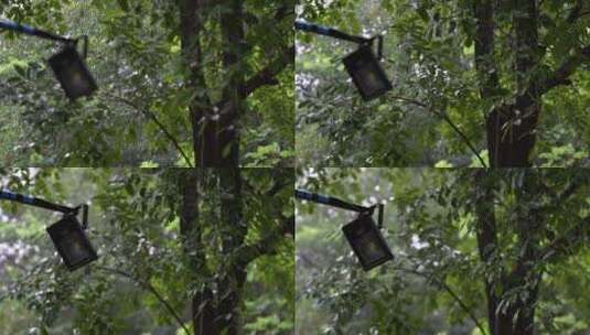下雨天雨水拍打树叶高清在线视频素材下载