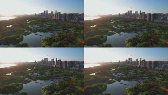 广东深圳福田红树林公园日落逆光航拍素材高清在线视频素材下载