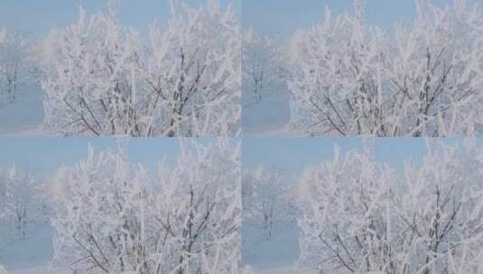 美丽的冬季森林高清在线视频素材下载